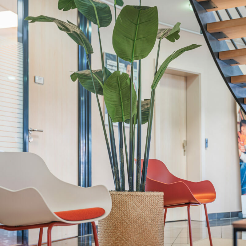 Agencement et décoration d'une salle d'attente à Strasbourg.