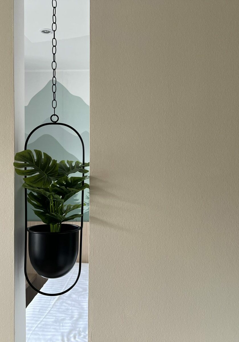 Décoration d'un studio à louer sur Airbnb à Strasbourg.