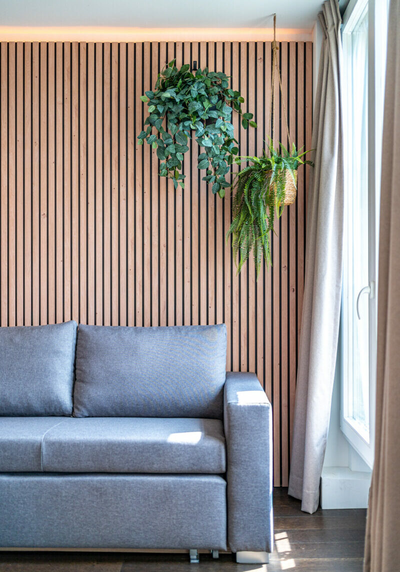 decoration-logement-saisonnier-strasbourg-aribnb5