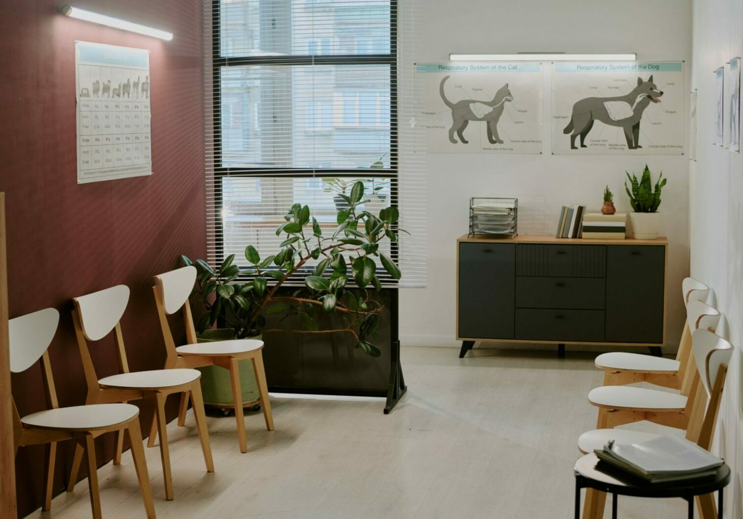 Salle d'attente cabinet médical Strasbourg, par une décoratrice d'intérieur.