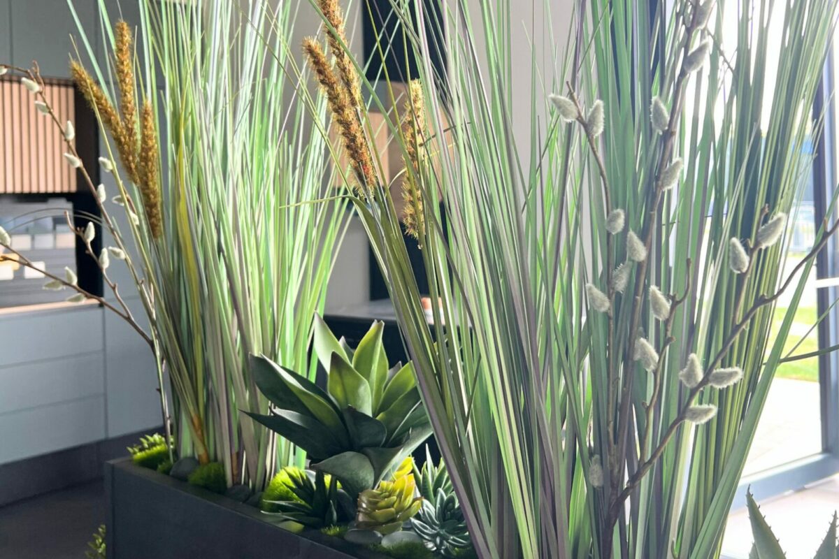 Décoration et organisation d'un showroom à Herrlisheim à côté de Strasbourg