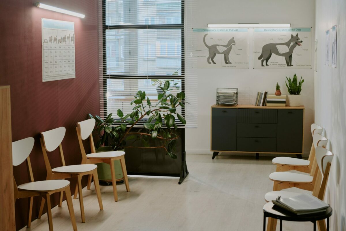 Salle d'attente cabinet médical Strasbourg, par une décoratrice d'intérieur.